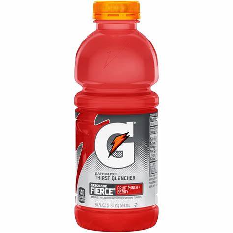 Gatorade Fruit Punch 20 oz