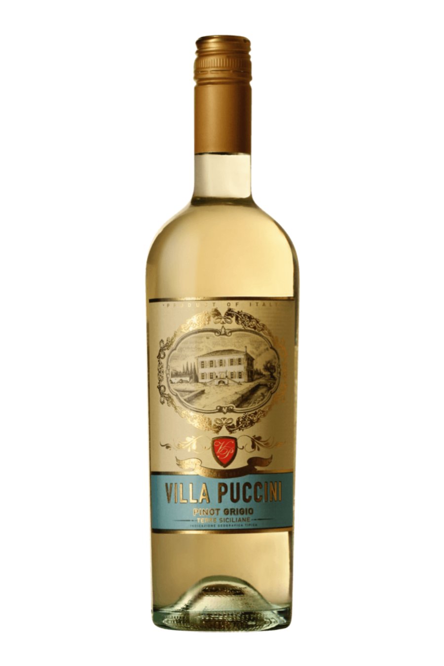 VILLA PUCCINI PINOT GRIGIO